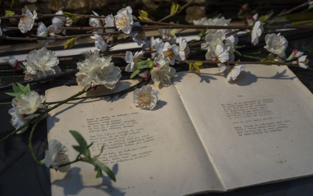 Šaleška dolina 1941–1945