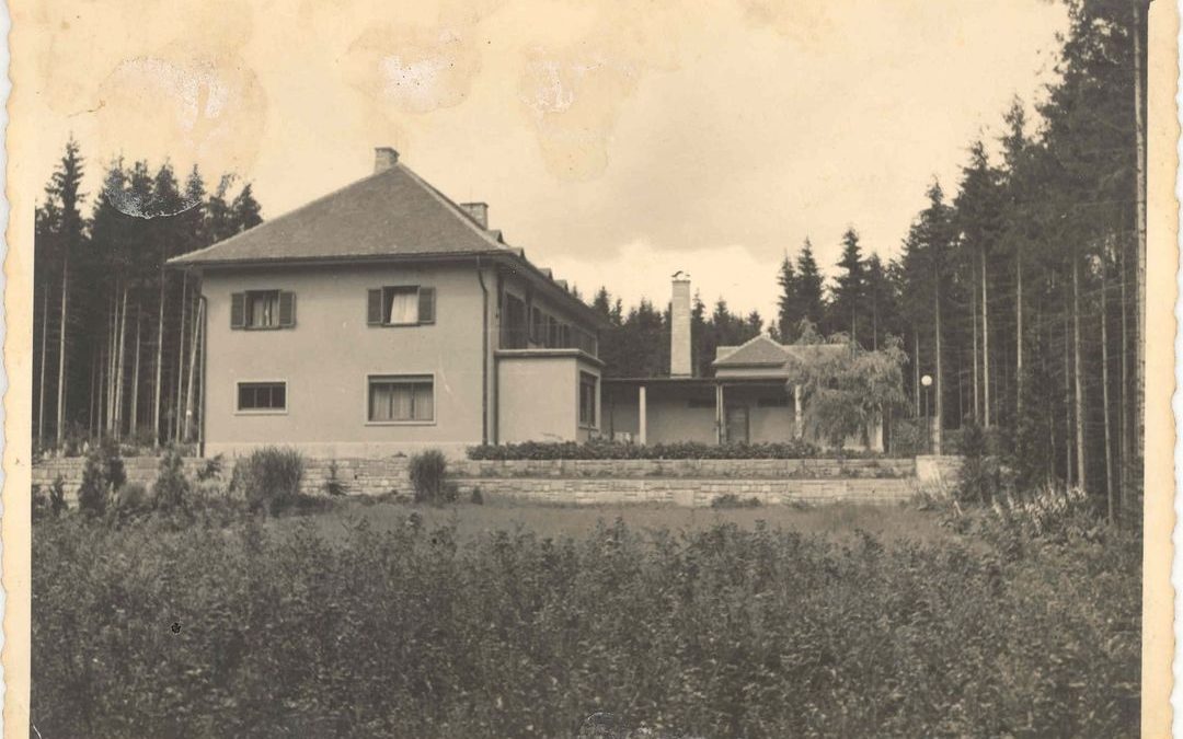 Fotografija Vile Široko