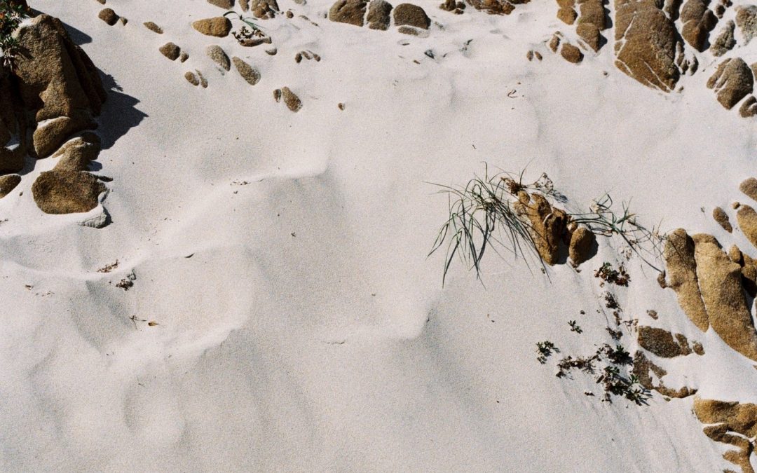 Fotografska razstava “Isto sonce”