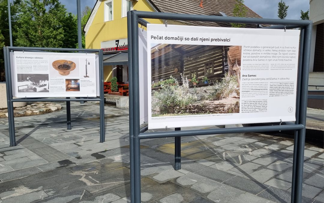 Kavčnikova dimnica – življenje na robu II