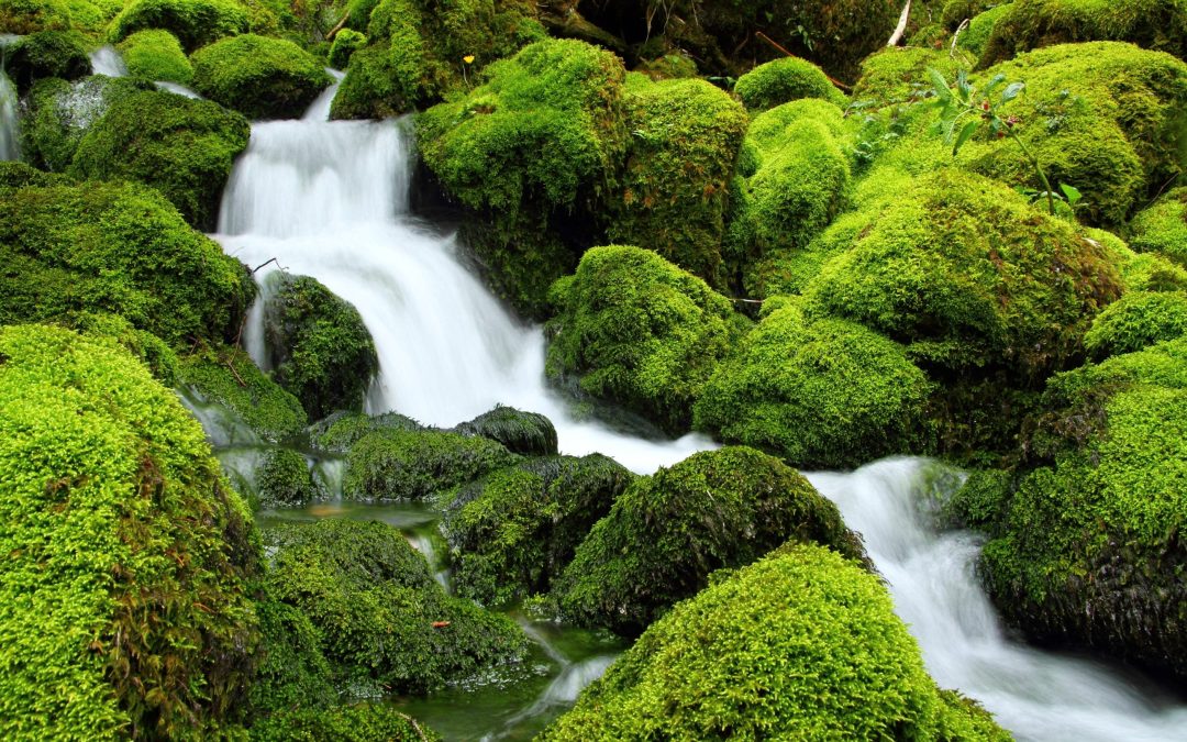 Fotografska razstava Voda