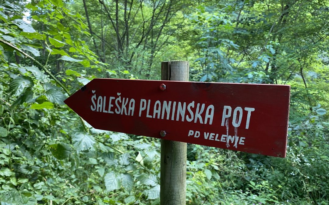 Razgledi s Šaleške planinske poti