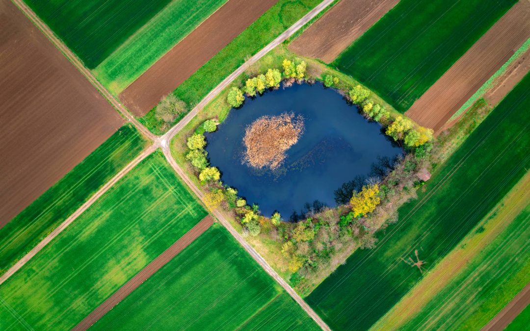 Fotografska razstava “Zeleno”