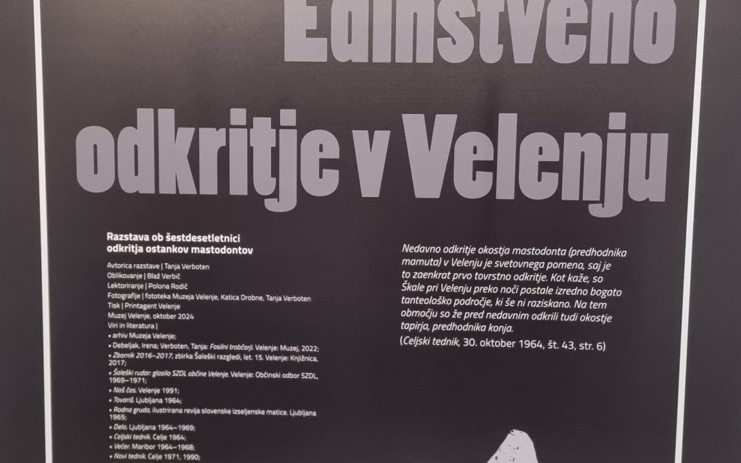 Edinstveno odkritje v Velenju