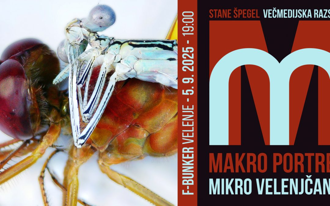 Odprtje večmedijske razstave Staneta Špegla