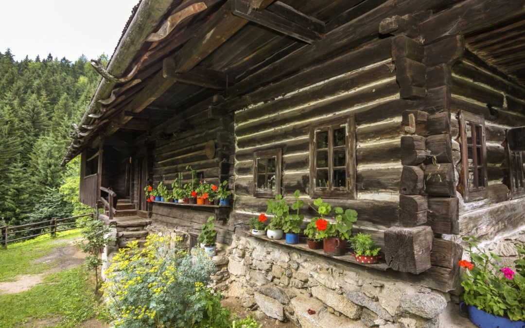 Mladi muzealci