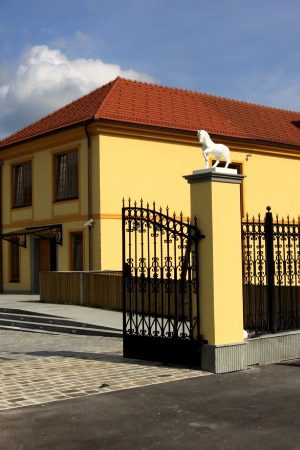 Javno vodstvo po Muzeju usnjarstva na Slovenskem 