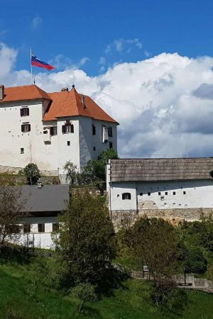 Javni razpis za zasedbo prostega delovnega mesta direktorja javnega zavoda Muzej Velenje (Ž/M)