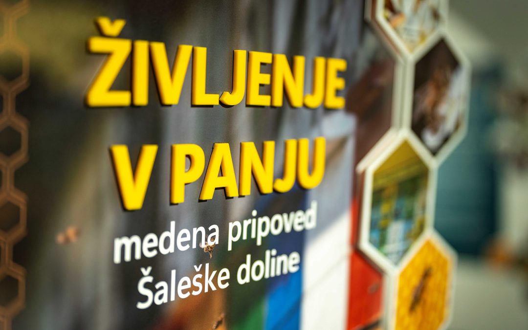 Razstava Življenje v panju – medena pripoved Šaleške doline