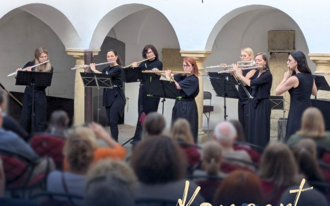 Koncert Flavtastičnih 7 z gosti